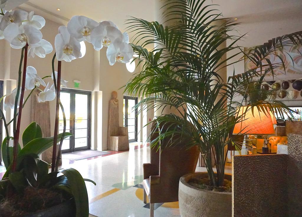 Tides South Beach ميامي بيتش المظهر الخارجي الصورة